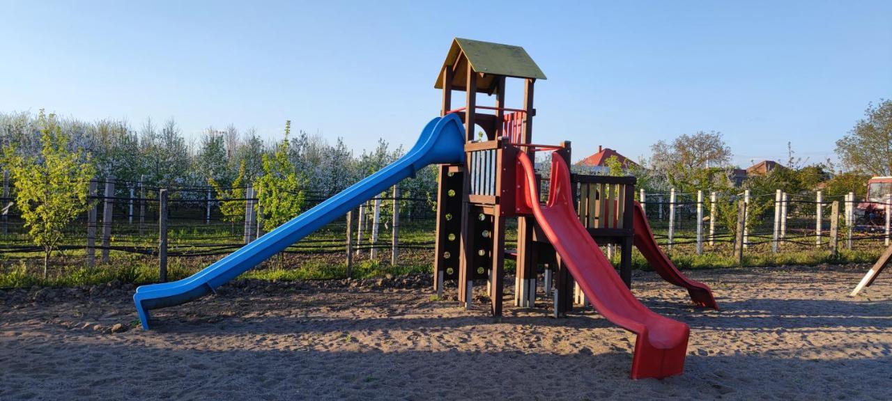Village Garden Family Guest House Tiszakanyár المظهر الخارجي الصورة